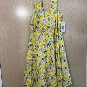 NWT Robbie Bee women’s 24W dress